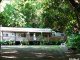 San Patricio Forest - GUAYNABO